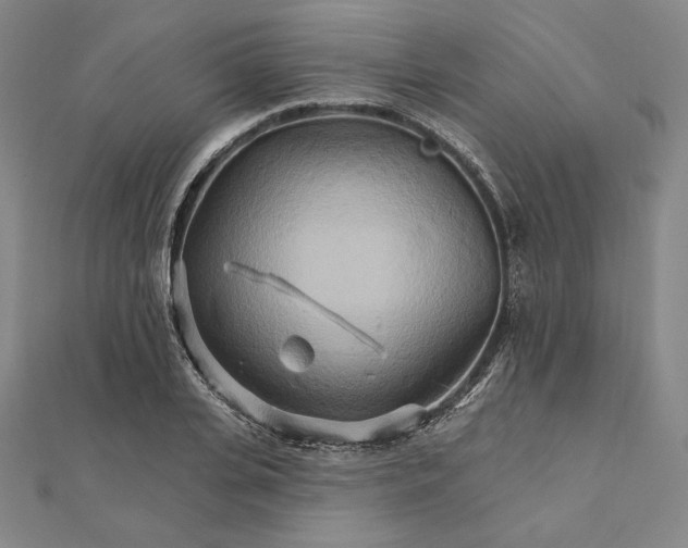 X0000111510935200908041219