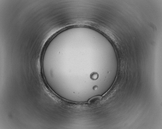 X0000111510936200908041219