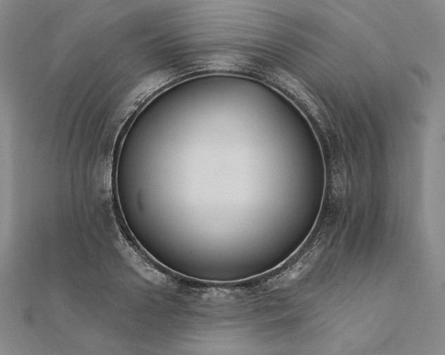 X0000111510938200908041219