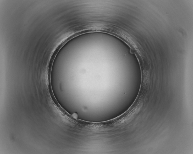 X0000111510939200908041220