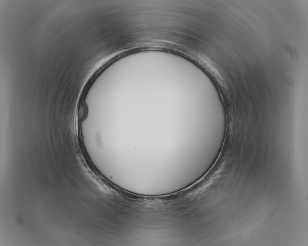 X0000111510940200908041220