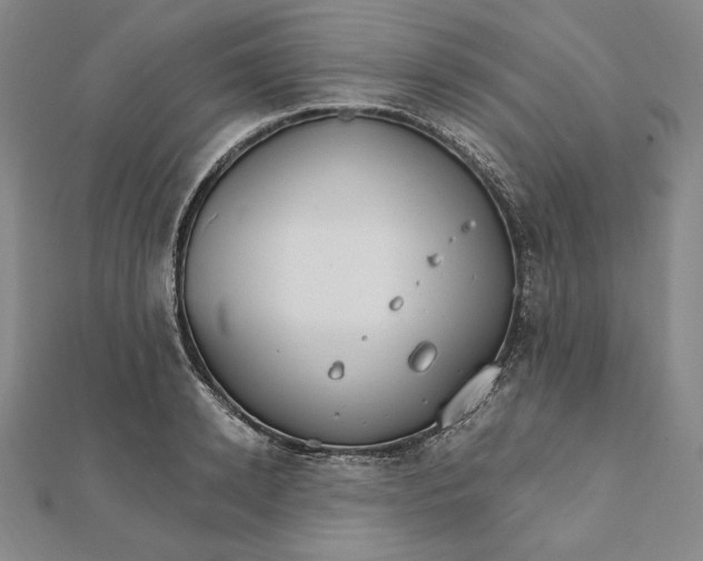 X0000111510942200908041220