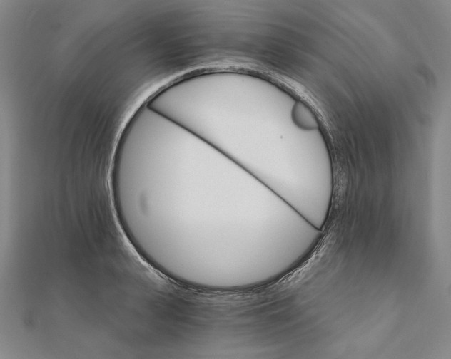 X0000111510943200908041220