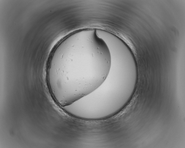 X0000111510944200908041220