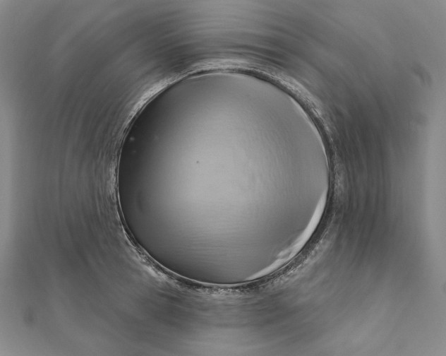 X0000111510945200908041220