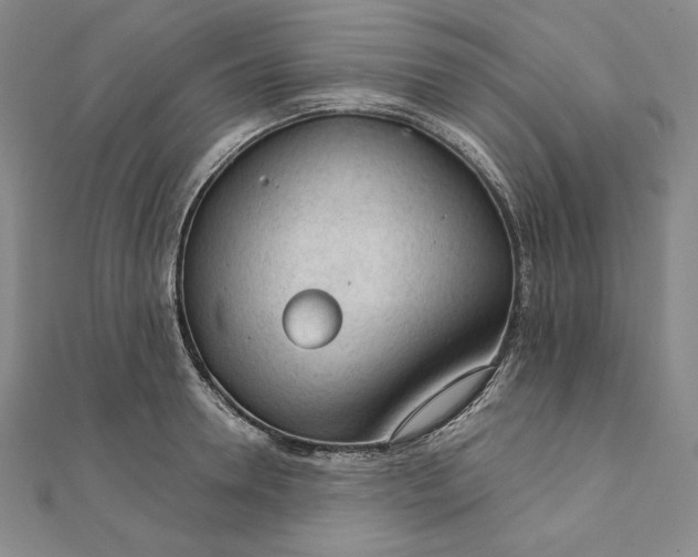 X0000111510946200908041220