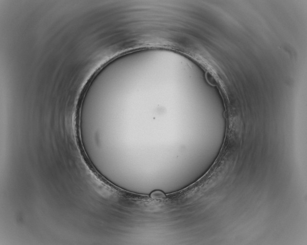 X0000111510947200908041220