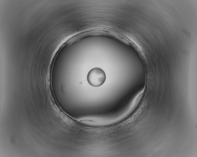 X0000111510948200908041220