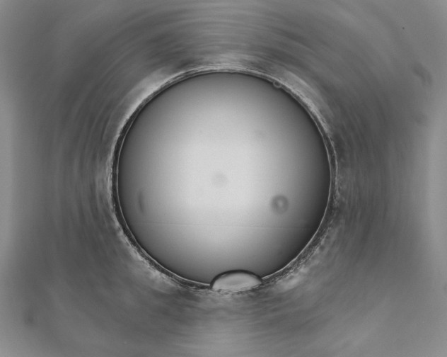 X0000111510949200908041220