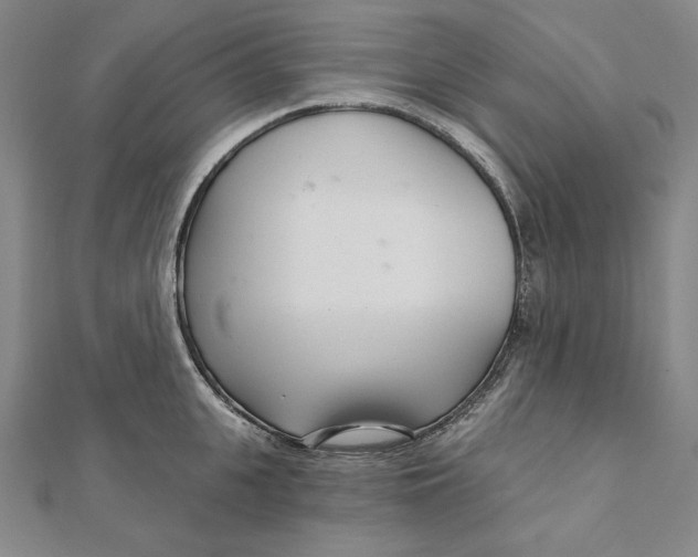 X0000111510951200908041220