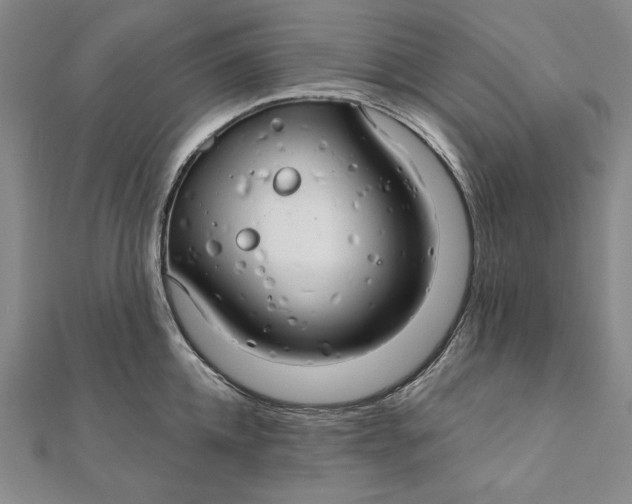 X0000111510952200908041220