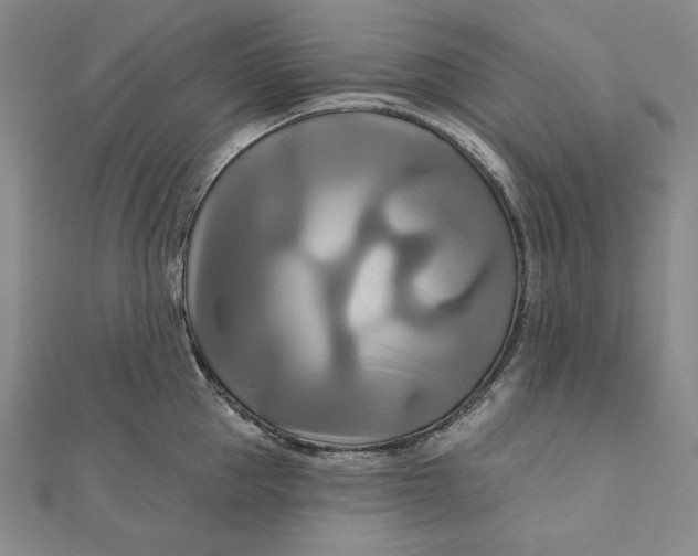 X0000111510953200908041220