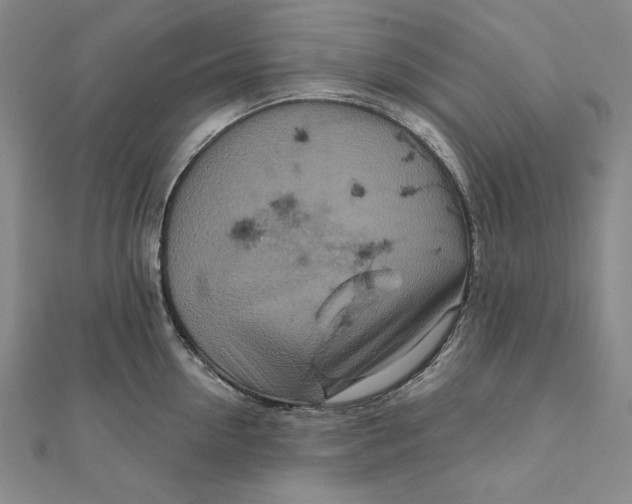 X0000111510954200908041220