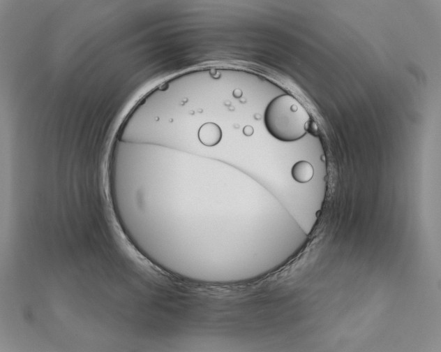 X0000111510955200908041220