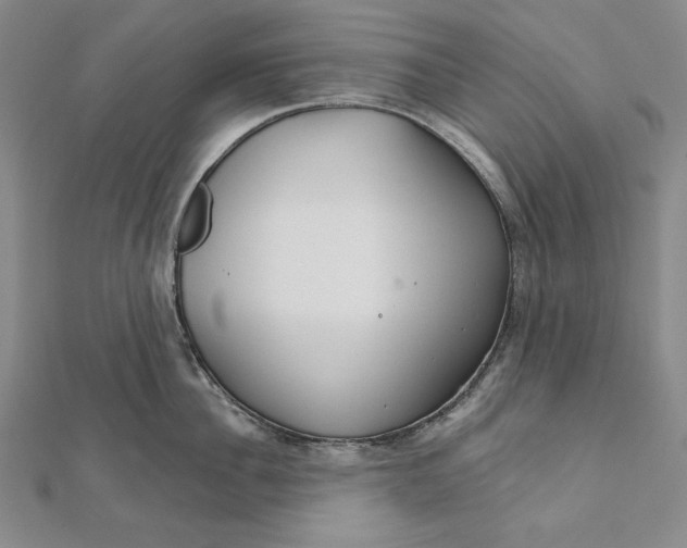 X0000111510956200908041220