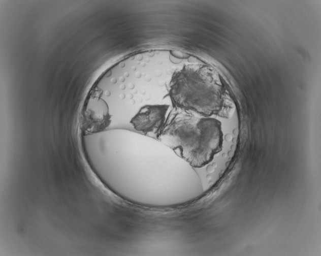 X0000111510957200908041220