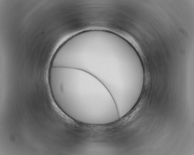 X0000111510958200908041220