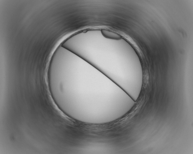 X0000111510959200908041220