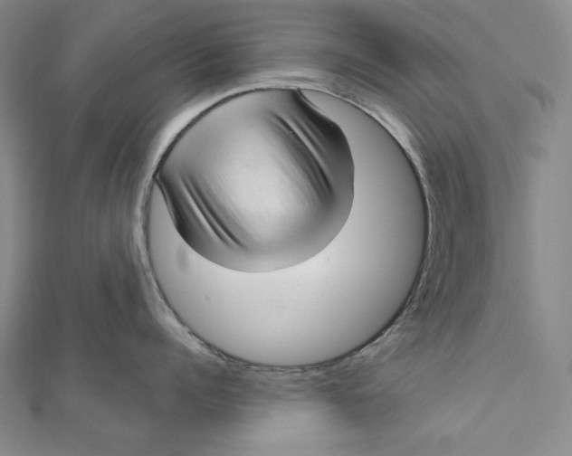 X0000111510960200908041220