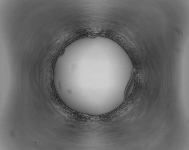 X0000111510961200908041219