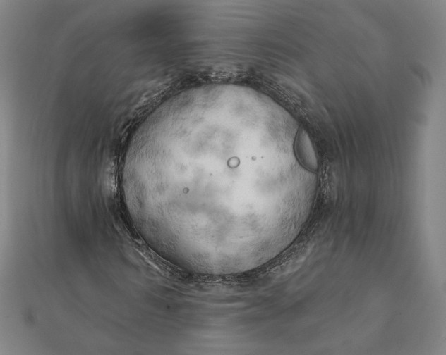 X0000111510962200908041219