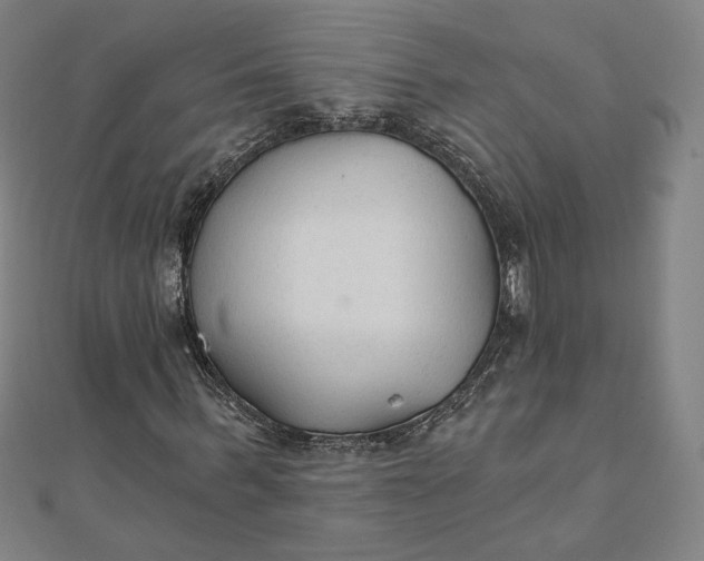 X0000111510963200908041219