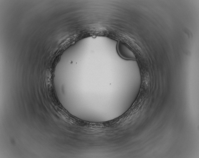 X0000111510964200908041219