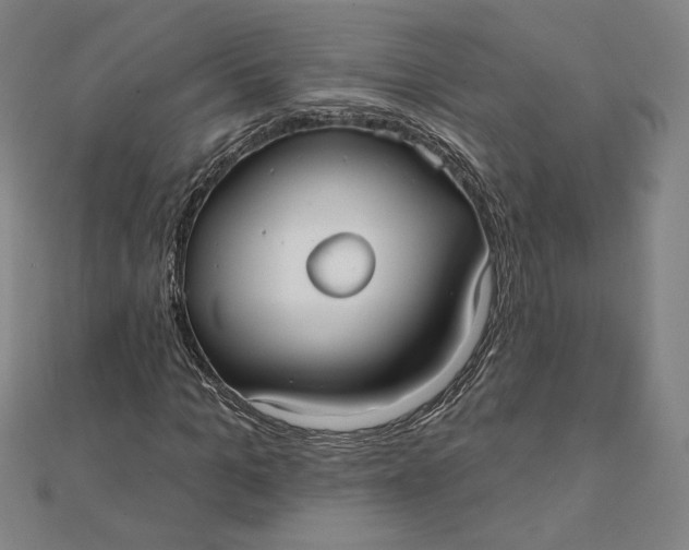 X0000111510965200908041219