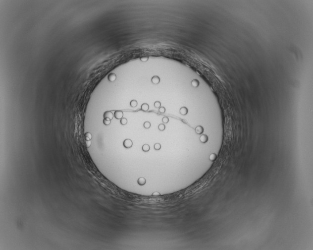 X0000111510966200908041219