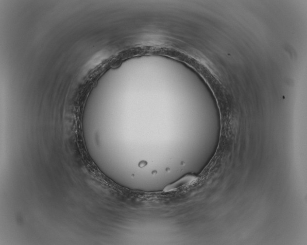 X0000111510967200908041219