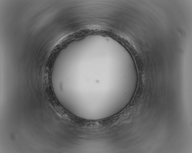 X0000111510968200908041219