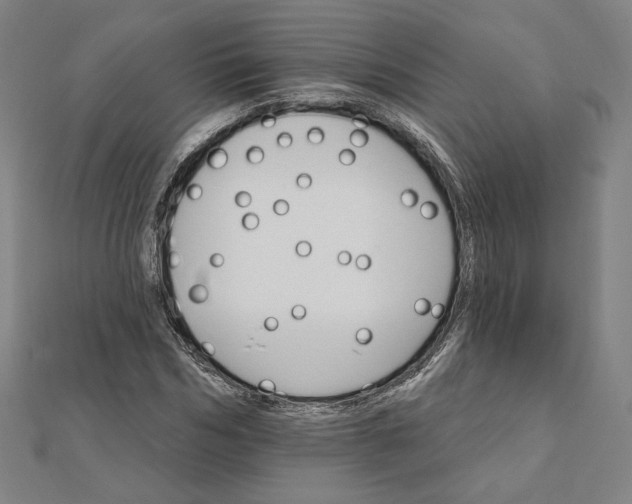 X0000111510970200908041219