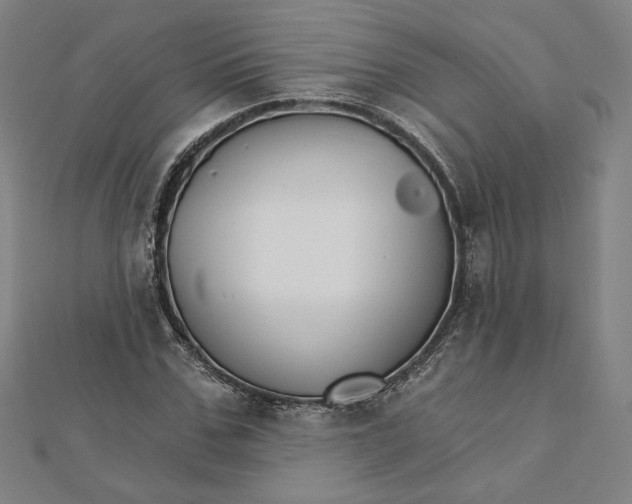 X0000111510971200908041219