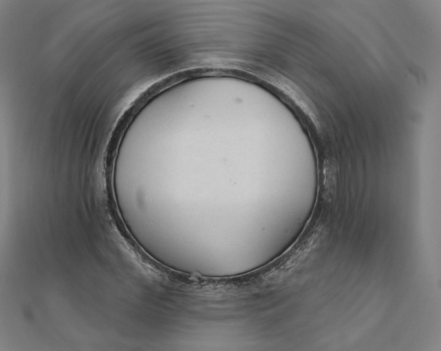 X0000111510972200908041219