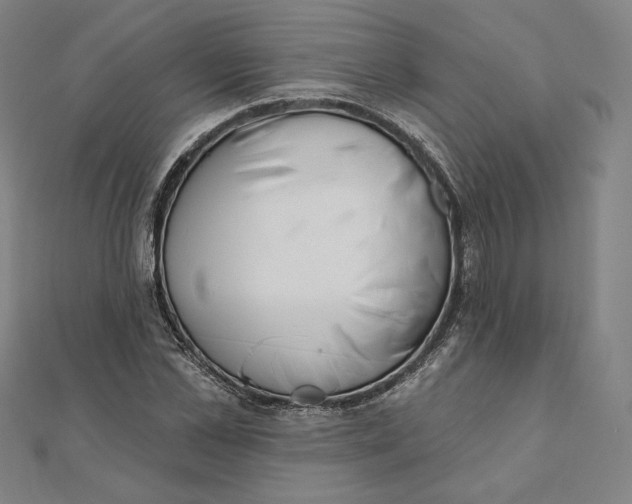 X0000111510973200908041219