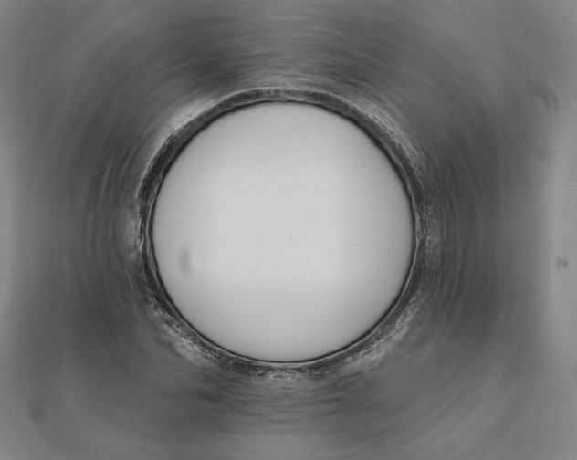 X0000111510974200908041219