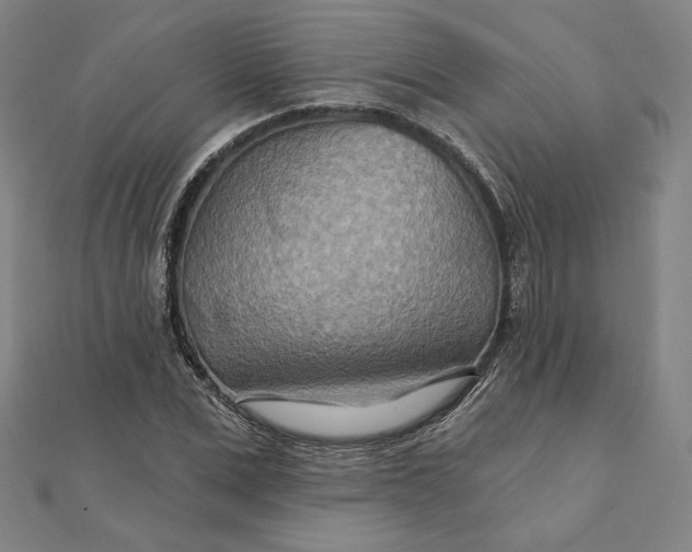 X0000111510975200908041219