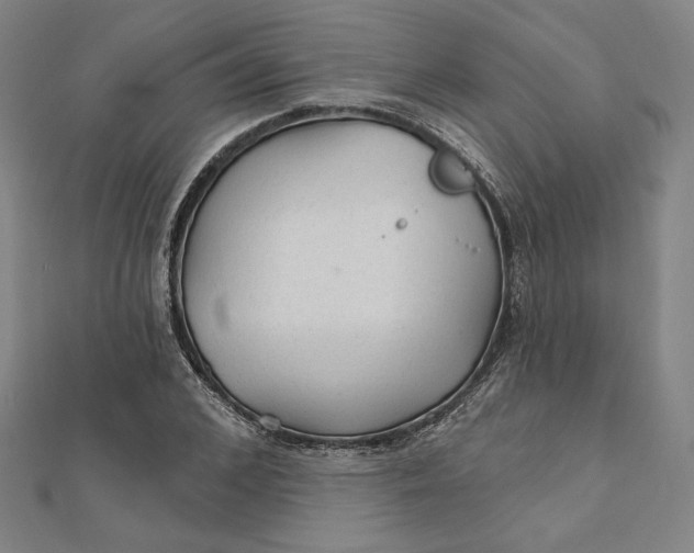 X0000111510976200908041219