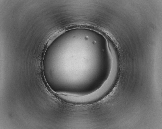 X0000111510977200908041219