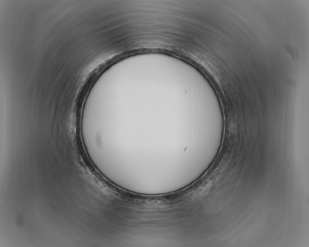 X0000111510979200908041219