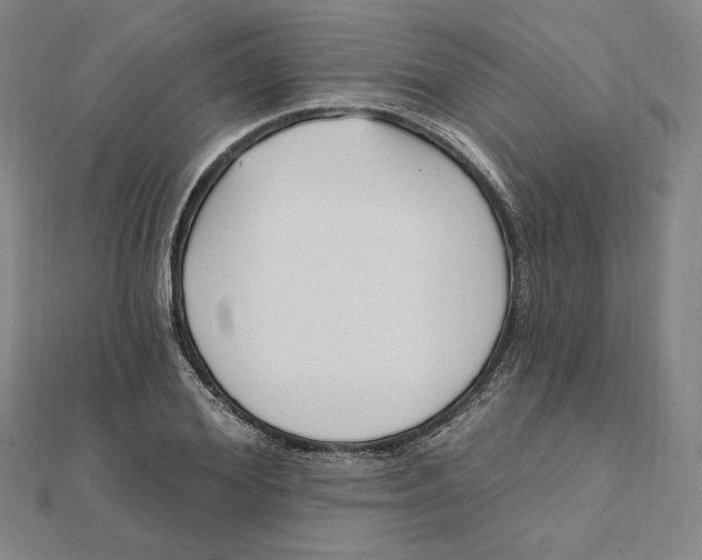 X0000111510980200908041219