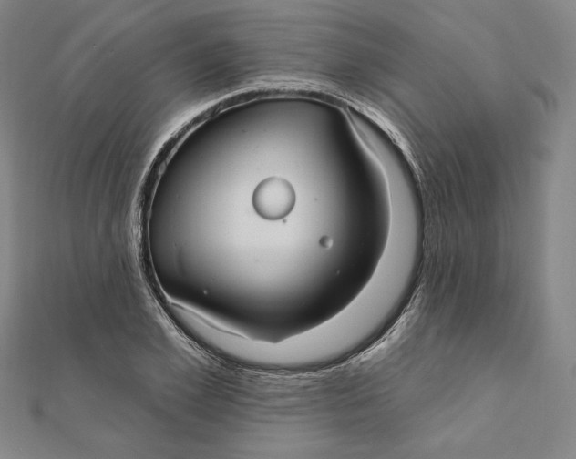 X0000111510981200908041219