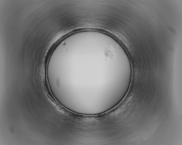 X0000111510982200908041219