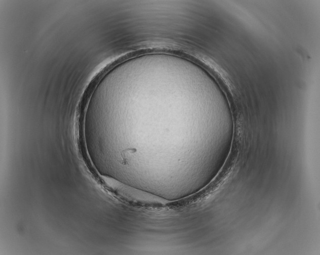 X0000111510983200908041219