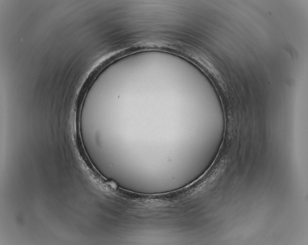 X0000111510984200908041219