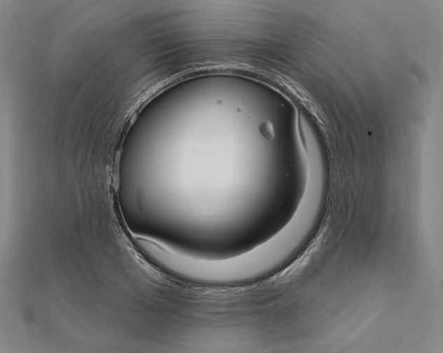 X0000111510985200908041219