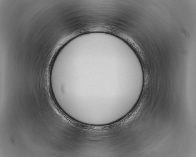 X0000111510986200908041219