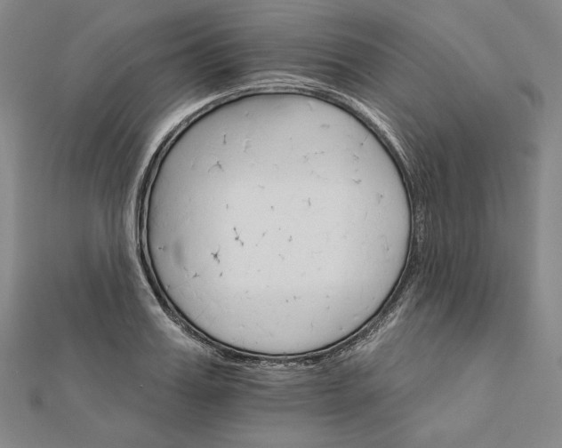 X0000111510987200908041219