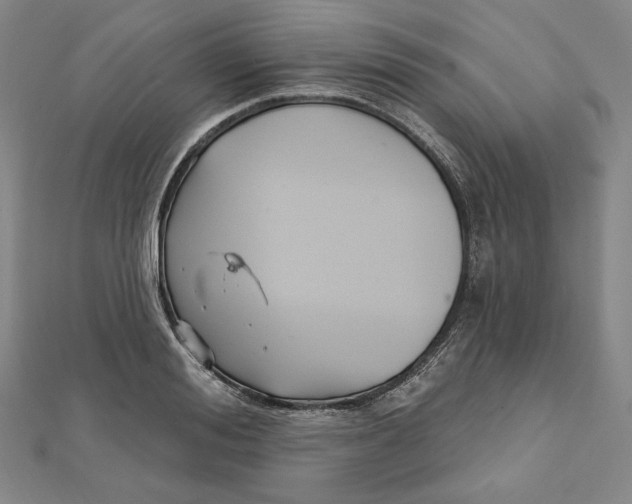 X0000111510988200908041219