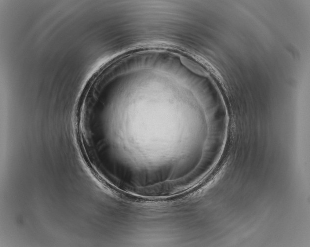 X0000111510989200908041219